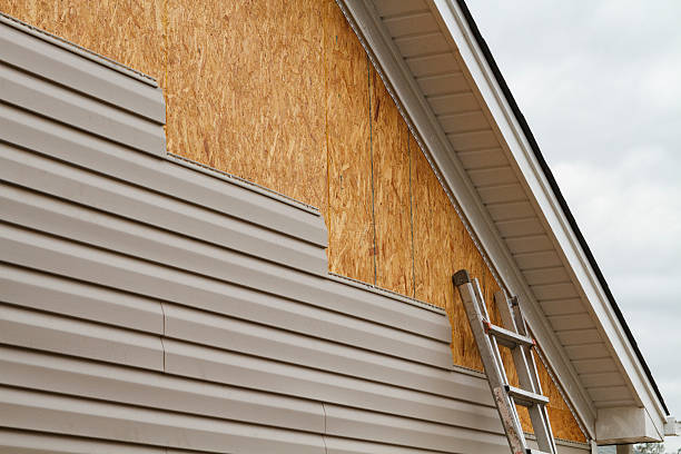 Professional Siding Inspection technician working in Jackson, GA